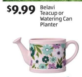 Belavi Teacup or Watering Can Planter