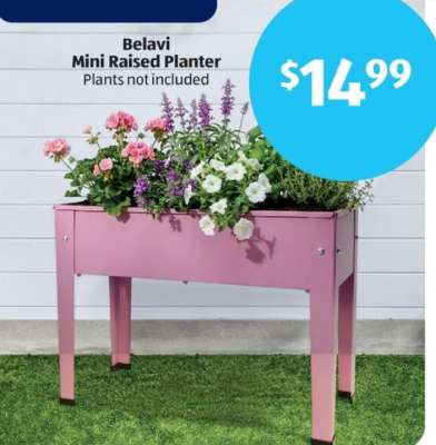 Belavi Mini Raised Planter