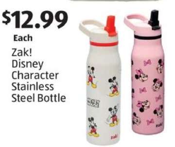 Zak! Disney Character Stainless Steel Bottle