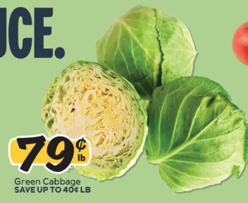 Green Cabbage