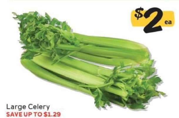 Large Celery