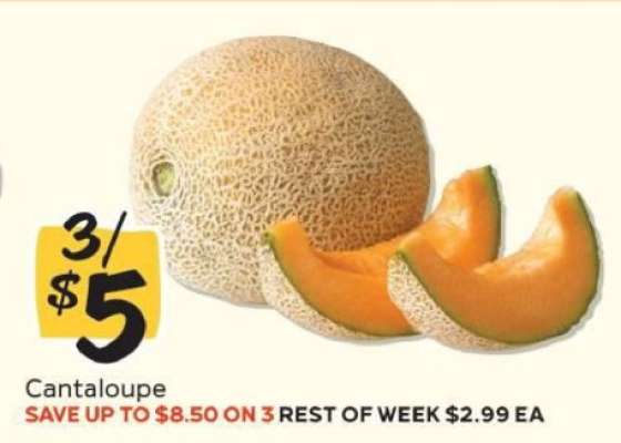 Cantaloupe