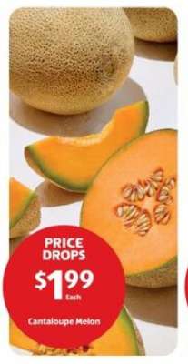 Cantaloupe Melon