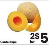 Cantaloupe