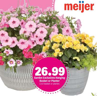 Garden Exclusives Hanging Basket or Planter