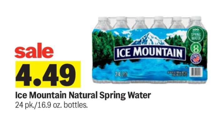 Ice Mountain Natural Spring Water