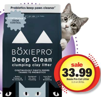 Boxie Pro Cat Litter