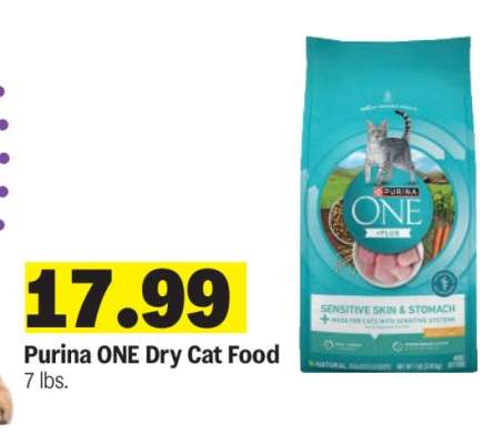 Purina One Dry Cat Food
