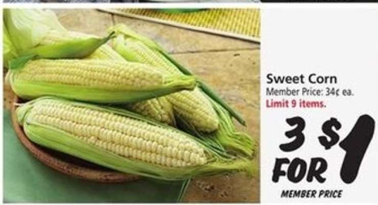 Sweet Corn