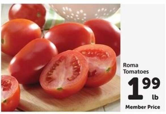 Roma Tomatoes