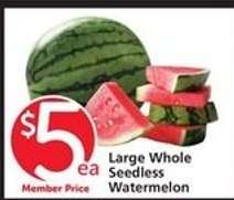 Large Whole Seedless Watermelon