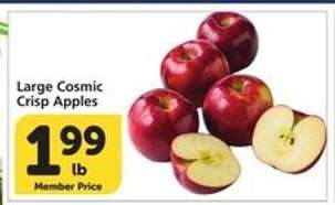Large Cosmic Crisp Apples