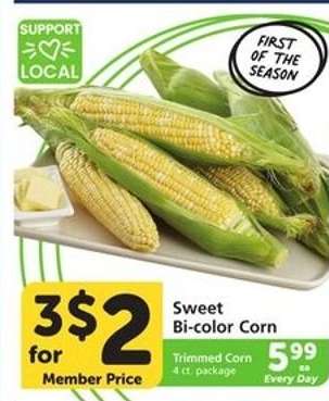 Sweet Bi-Color Corn