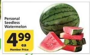 Personal Seedless Watermelon