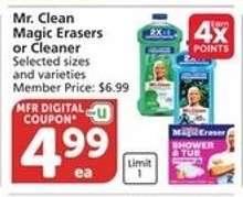 Mr. Clean Magic Erasers or Cleaner