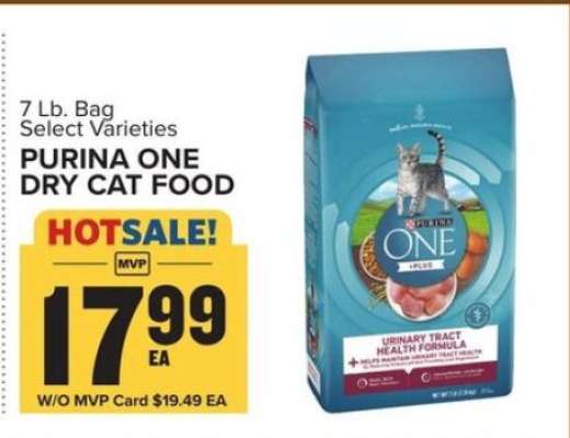 Purina One Dry Cat Food