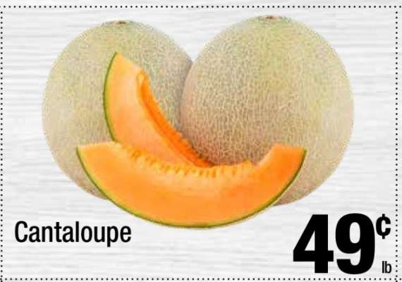 Cantaloupe