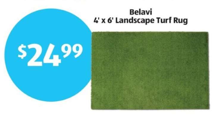 Belavi 4' x 6' Landscape Turf Rug