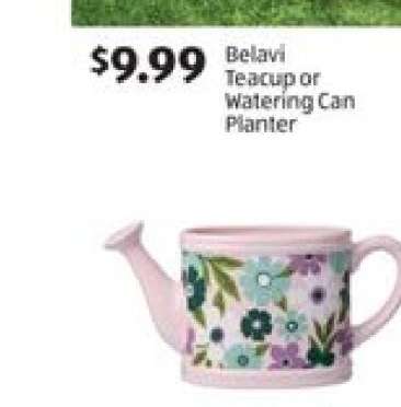 Belavi Teacup or Watering Can Planter