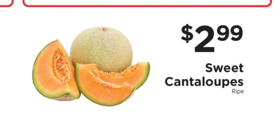 Sweet Cantaloupes