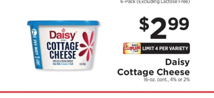 Daisy Cottage Cheese
