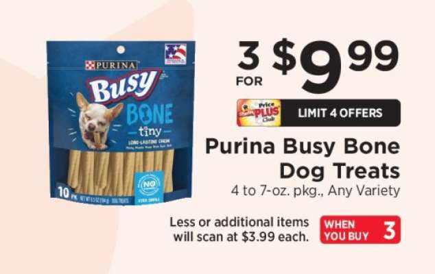 Purina Busy Bone Dog Treats