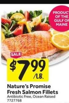 Nature's Promise Fresh Salmon Fillets
