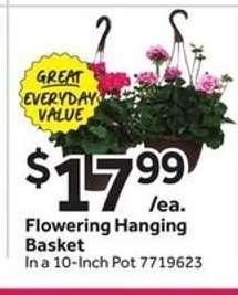 Flowering Hanging Basket