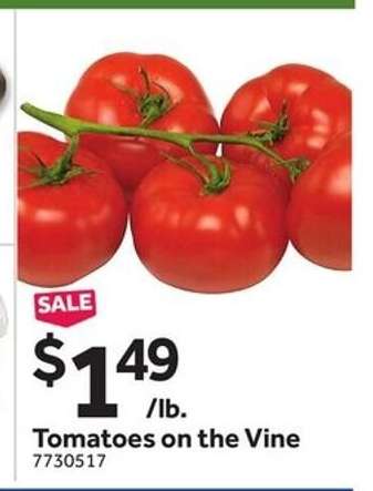 Tomatoes on the Vine