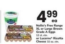 Nellie's Free Range XL or Large Brown Grade A Eggs or Lucerne Ricotta Cheese