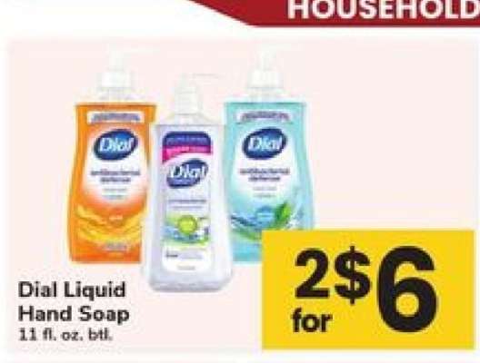 Dial Liquid Hand Soap*
