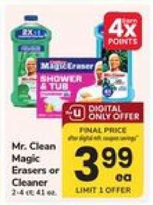 Mr. Clean Magic Erasers or Cleaner