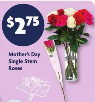 Mother's Day Single Stem Roses