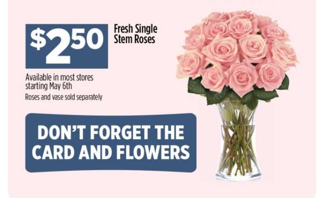 Fresh Single Stem Roses