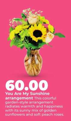 You Are My Sunshine