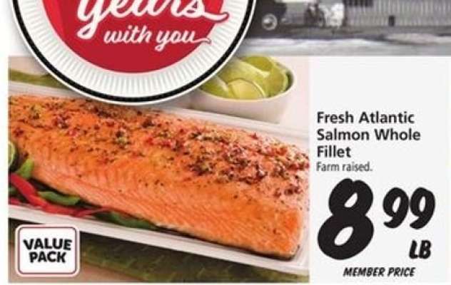 Fresh Atlantic Salmon Whole Fillet