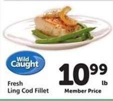 Fresh Ling Cod Fillet