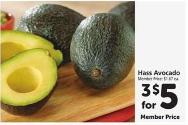 Hass Avocado
