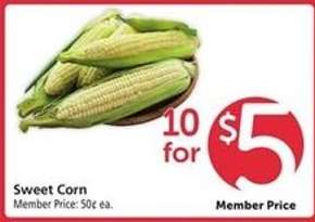 Sweet Corn