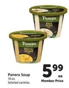 Panera Soup