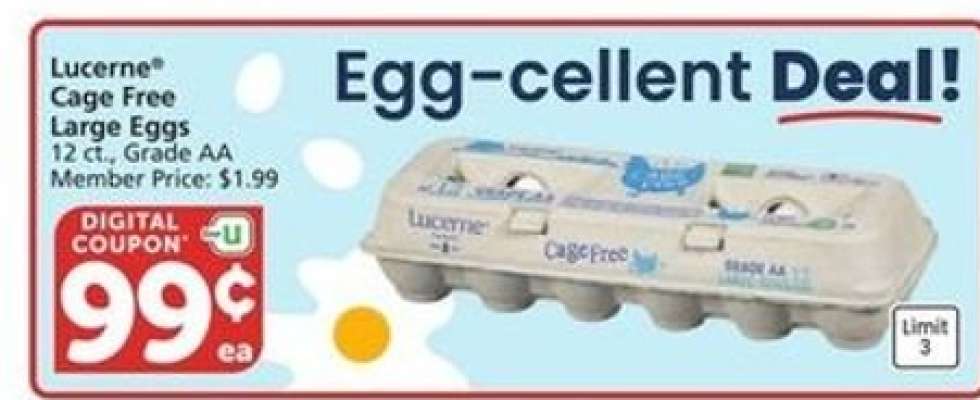 Lucerne Cage Free Large Eggs