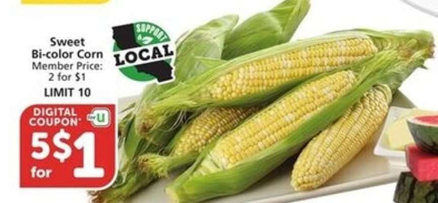 Sweet Bi-Color Corn