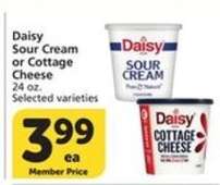 Daisy Sour Cream or Cottage Cheese