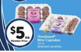 Overjoyed Mini Cupcakes