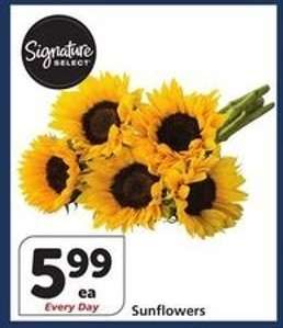 Sunflowers