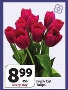 Fresh Cut Tulips