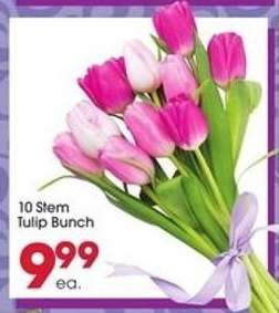 10 Stem Tulip Bunch