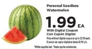 Personal Seedless Watermelon