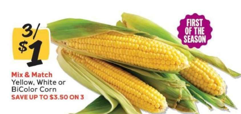 Corn