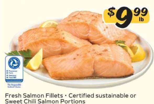 Fresh Salmon Fillets
